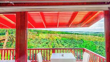 Vue depuis le balcon