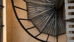 Un escalier en colimaçon avec une rampe en métal et une plante à sa base.