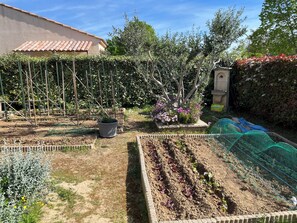Ein Garten mit vielfältigen Pflanzen, einer Spalierkonstruktion und einem kleinen Gebäude.