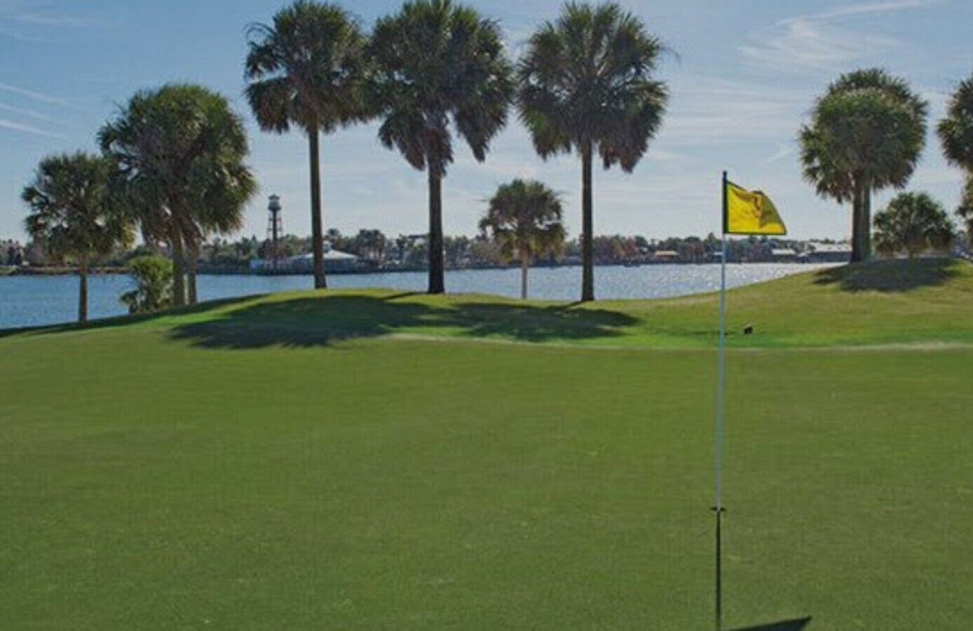 A golf course with a flagstick, palm trees, and a body of water in the background.