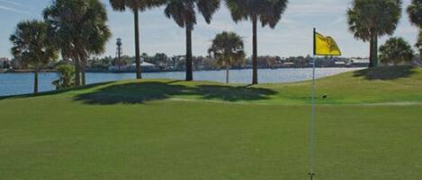 A golf course with a flagstick, palm trees, and a body of water in the background.