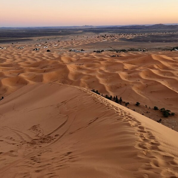 Un extenso paisaje desértico con dunas ondulantes y vegetación escasa.