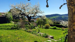 Ein Garten mit einem großen Baum, einer hölzernen Bank und Blick auf ein Tal.
