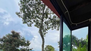 Suite Deluks, balkon, pemandangan gunung | Teras/patio