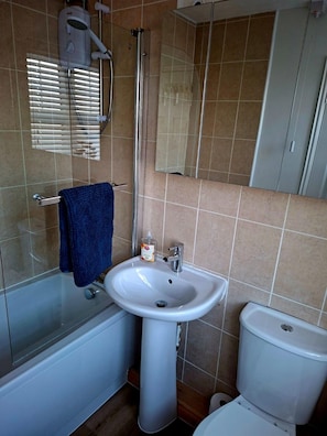 Shower, hair dryer