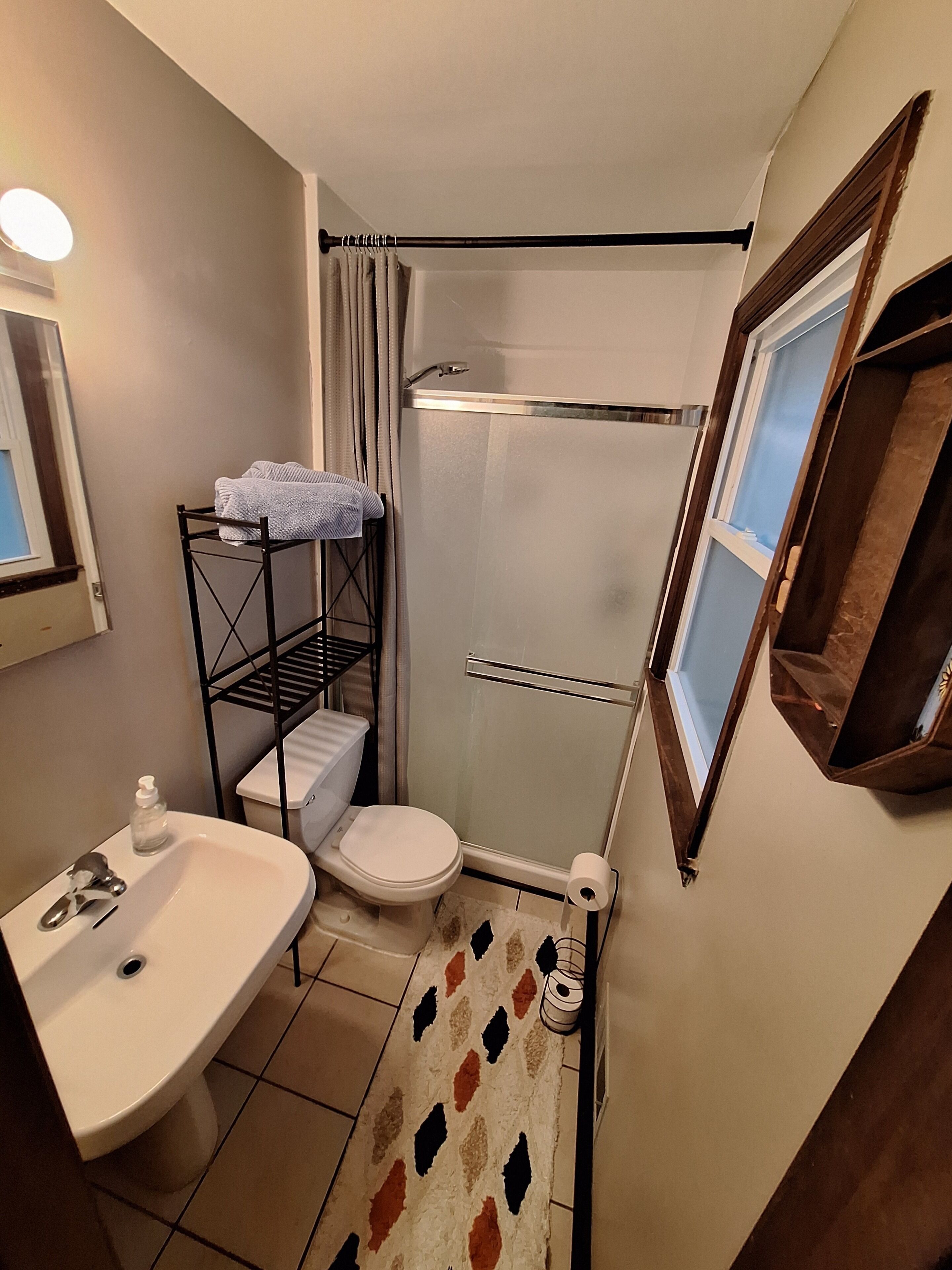 Shower, towels, soap, toilet paper