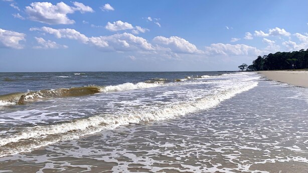 Una playa con olas, cielo despejado y una línea de árboles a lo lejos.