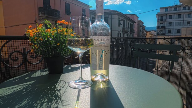 Une table avec une bouteille de vin et un verre, entourée de plantes en pot, sous un ciel dégagé.