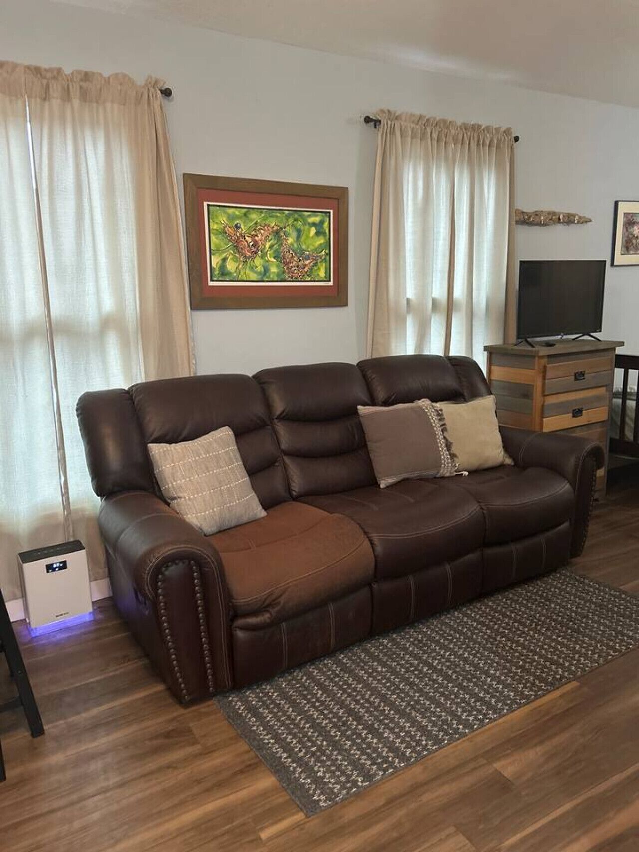 Televisión 