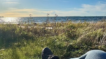 Ranta