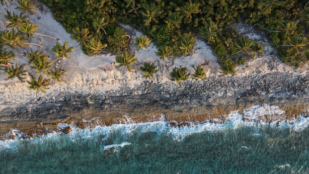 Vista aérea de una playa con palmeras, agua turquesa cristalina y un litoral rocoso.