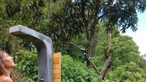 Uma banheira de hidromassagem com três pessoas sentadas ao redor, cercada por vegetação exuberante.