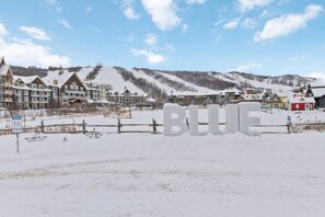 Miscellaneous - Home w/ Sauna, Across from Blue Mtn Village (The Blue Mountains)