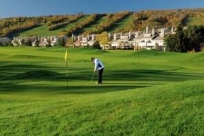 Golf - 3BDR Condo w/Private Sauna on Golf Course (The Blue Mountains)