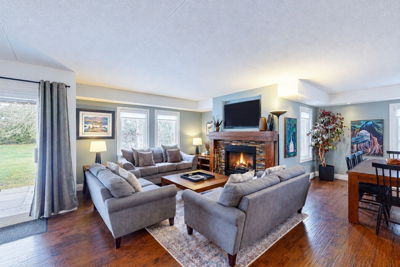 TV, fireplace