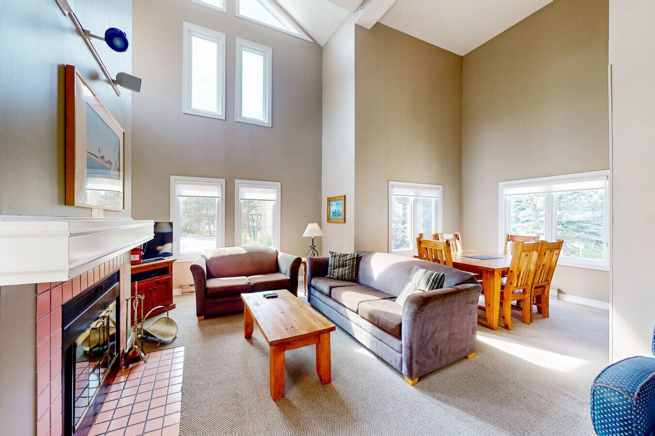 TV, fireplace