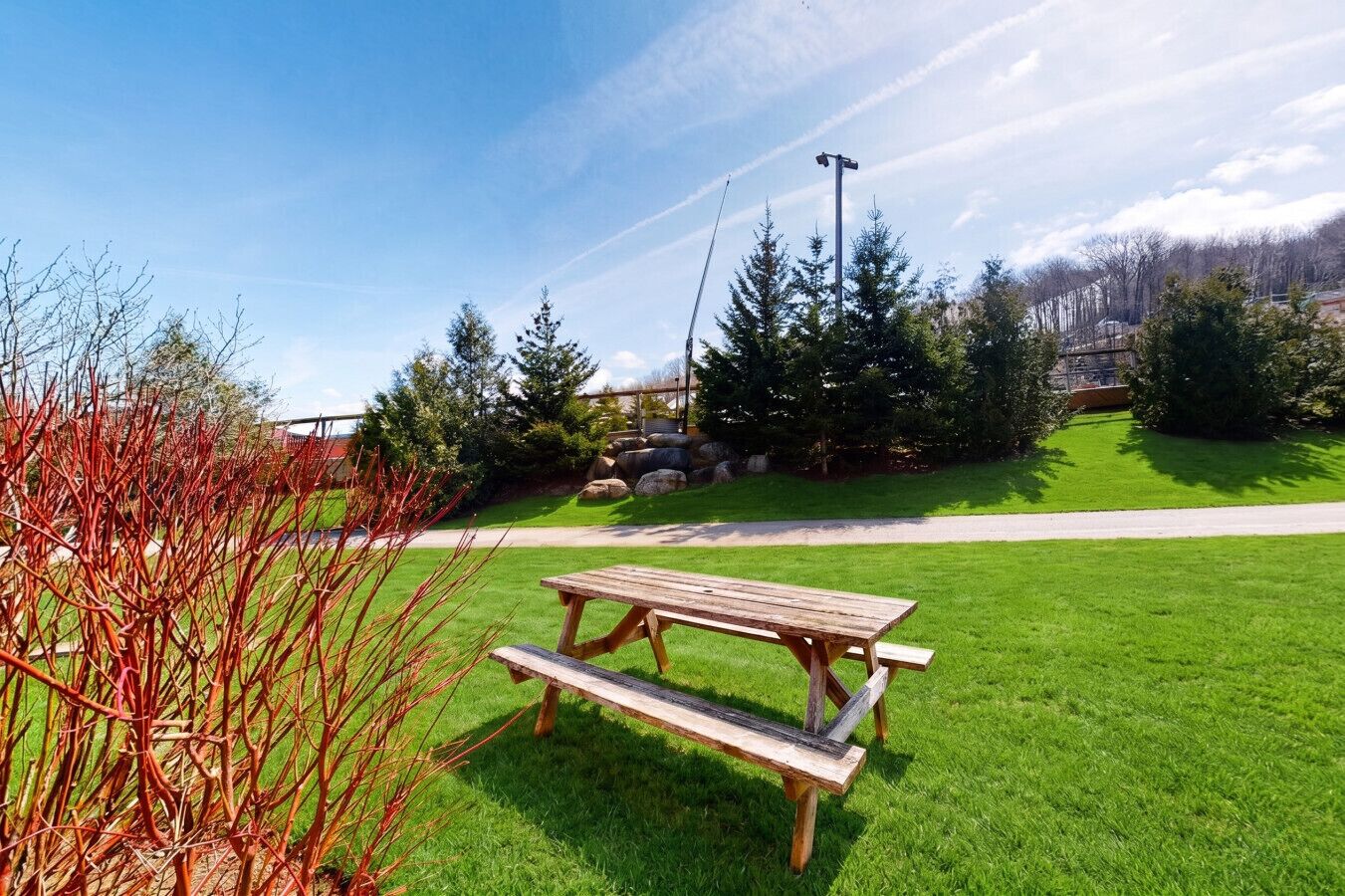 A picnic table in a grassy area with trees and a clear sky.
