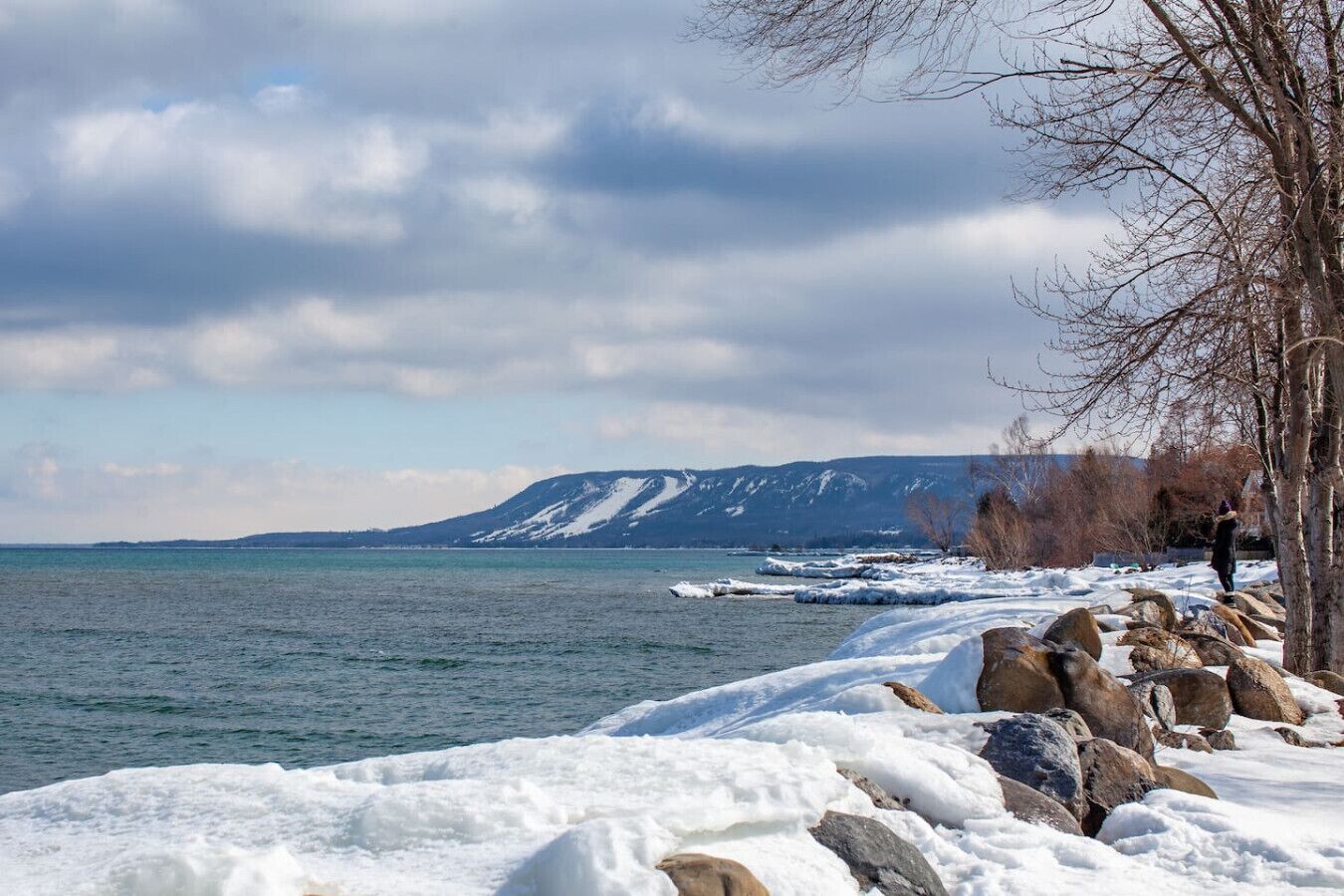 A snowy landscape with a body of water, rocks, and a tree.