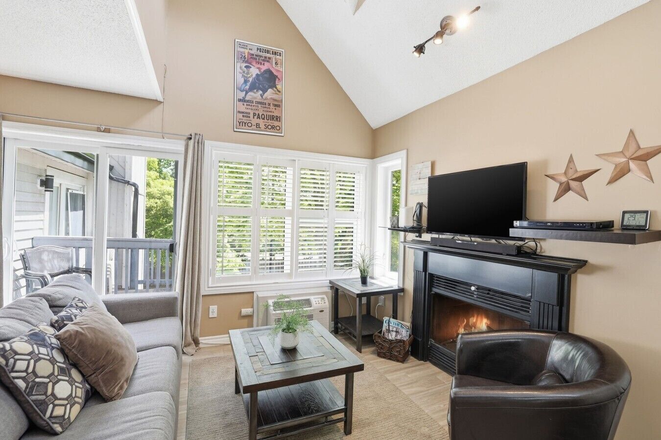 TV, fireplace