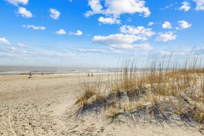 A beach with sand, seaweed, and footprints. - Palmetto Dunes Villa w/ Golf Views, Pool, Close to the Beach & Free Activities (Hilton Head Island)