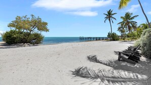 A beach with a wooden bench, palm trees, and a pier in the background. - Surf Shack - Downtown Islamorada 2 Bedroom Beach Bungalow (Islamorada)