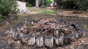A backyard with a pile of logs, surrounded by trees and a shed. - Froggy’s Quarters Cabin 8 - Possum (Halls Gap)