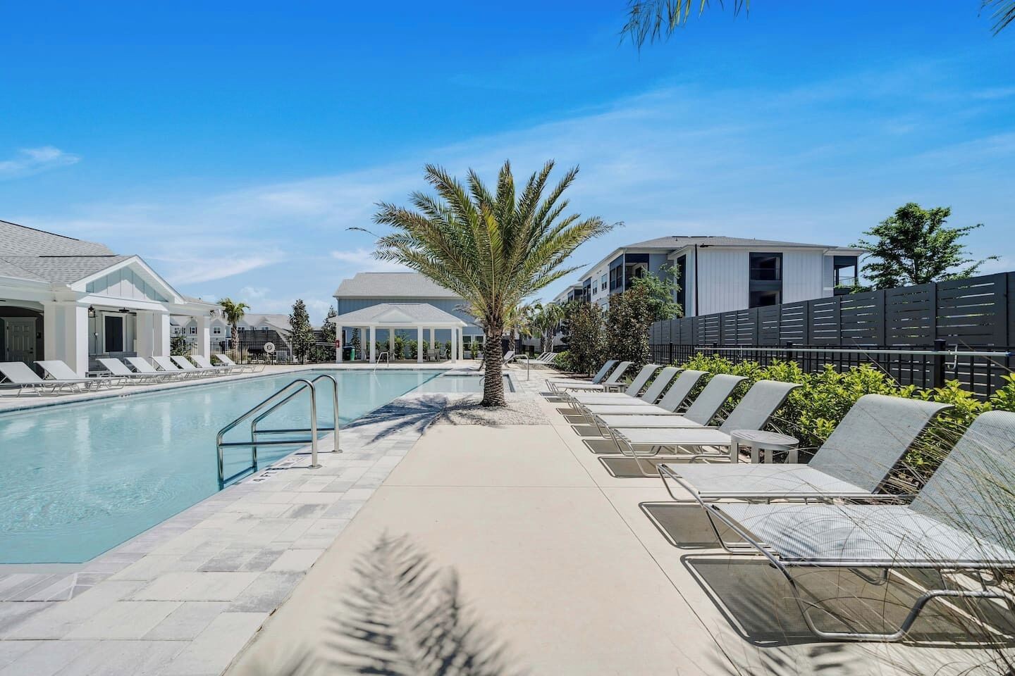 A swimming pool with lounge chairs and a palm tree, surrounded by buildings.
