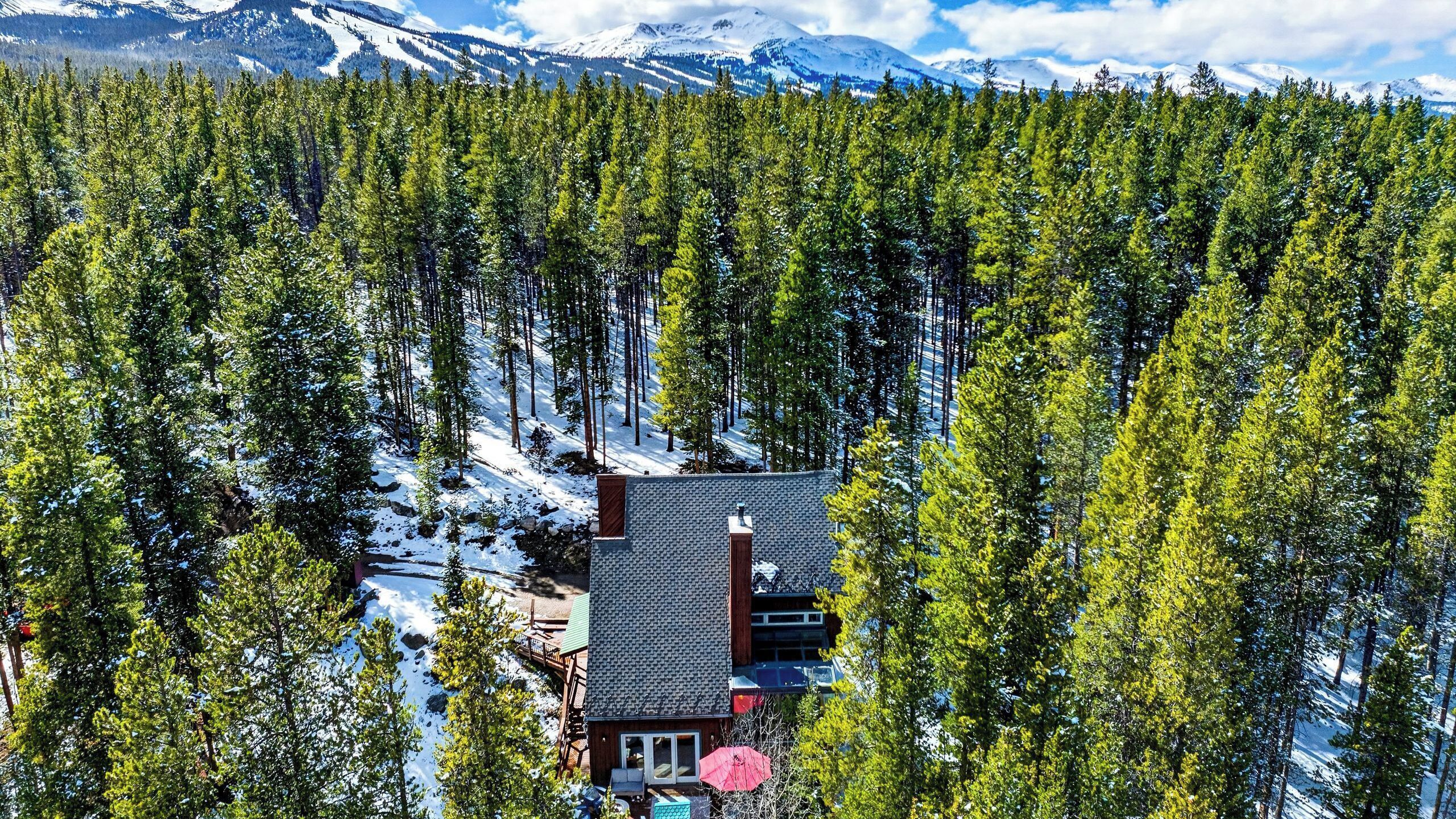Une cabane entourée d’une forêt dense, avec de la neige au sol et des montagnes en arrière-plan.