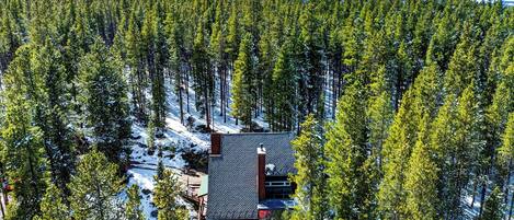 Une cabane entourée d’une forêt dense, avec de la neige au sol et des montagnes en arrière-plan.