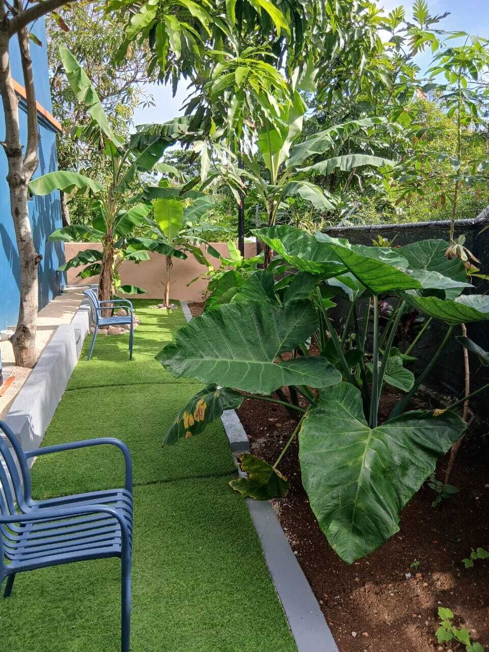 A garden with artificial grass, a bench, and large leafy plants.