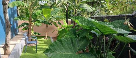 A garden with artificial grass, a bench, and large leafy plants.