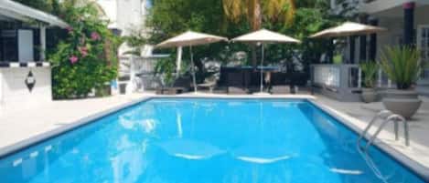 Outdoor pool, sun loungers