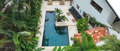 A rooftop pool with lounge chairs, surrounded by lush greenery and a white building.