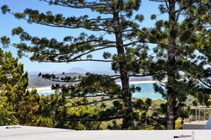 Property grounds - Contemporary Townhouse, Heated Pool, Walk to Beach (Noosa Region)