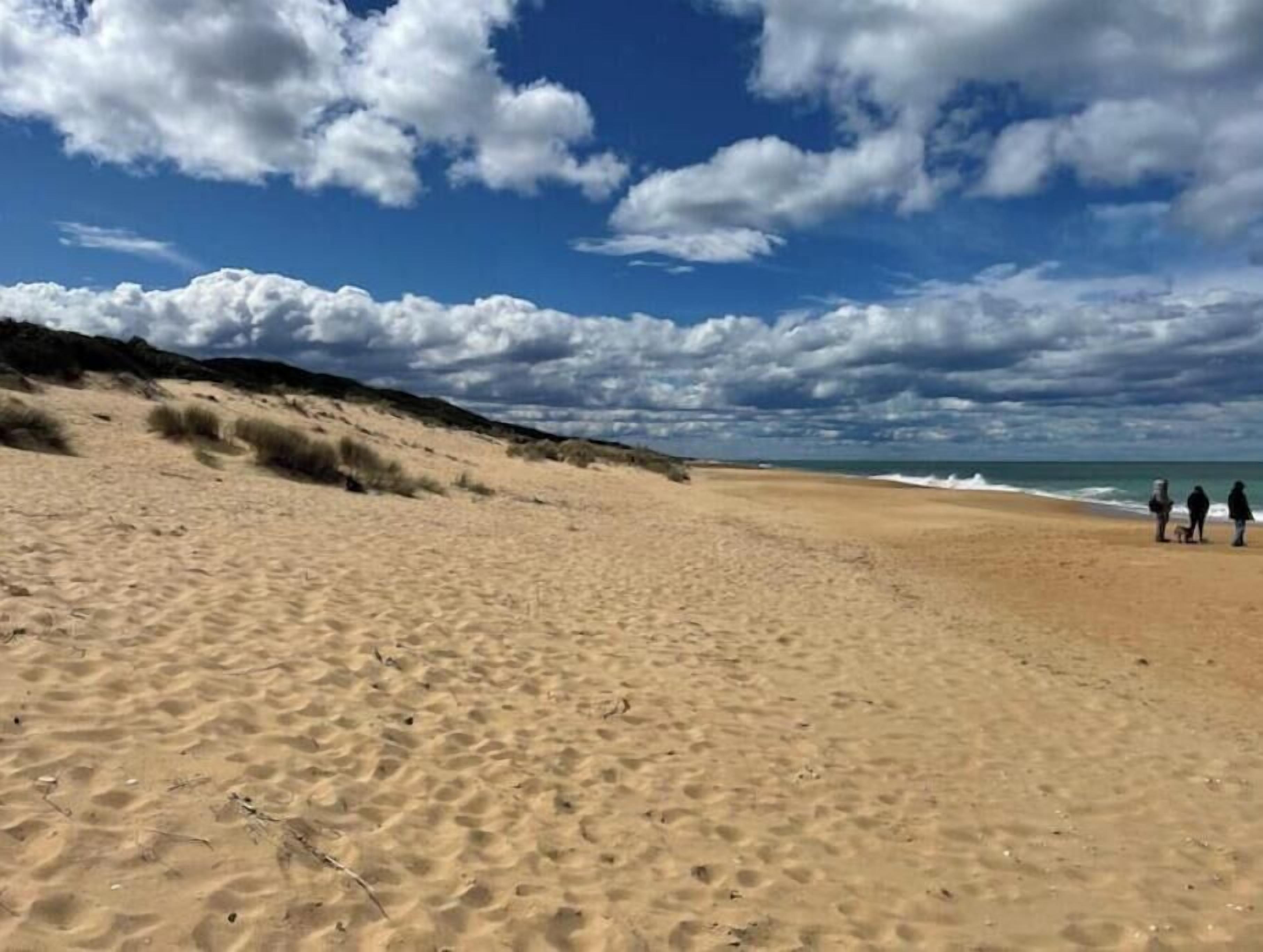 Strand
