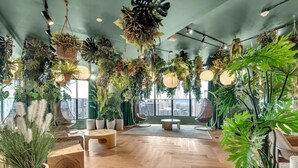 Een ruime kamer met een hoge plafond, grote ramen en diverse hangende planten.
