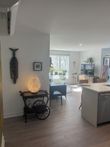 Condo/ski 12 mn