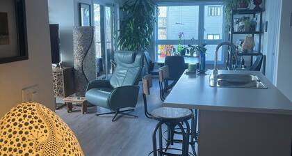 Condo/ski 12 mn