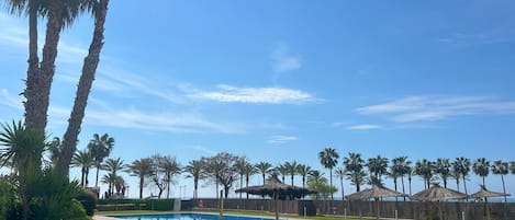 Ein Swimmingpool, umgeben von Palmen und wolkenlosem, blauem Himmel.