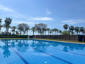 Ein Swimmingpool mit klarem, blauem Wasser, umgeben von Palmen und einem Holzzaun.