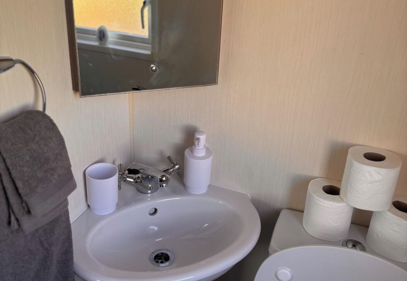 Un baño con lavamanos, espejo, toallero, papel higiénico y una botella de jabón para manos.