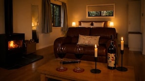 TV, fireplace, DVD player