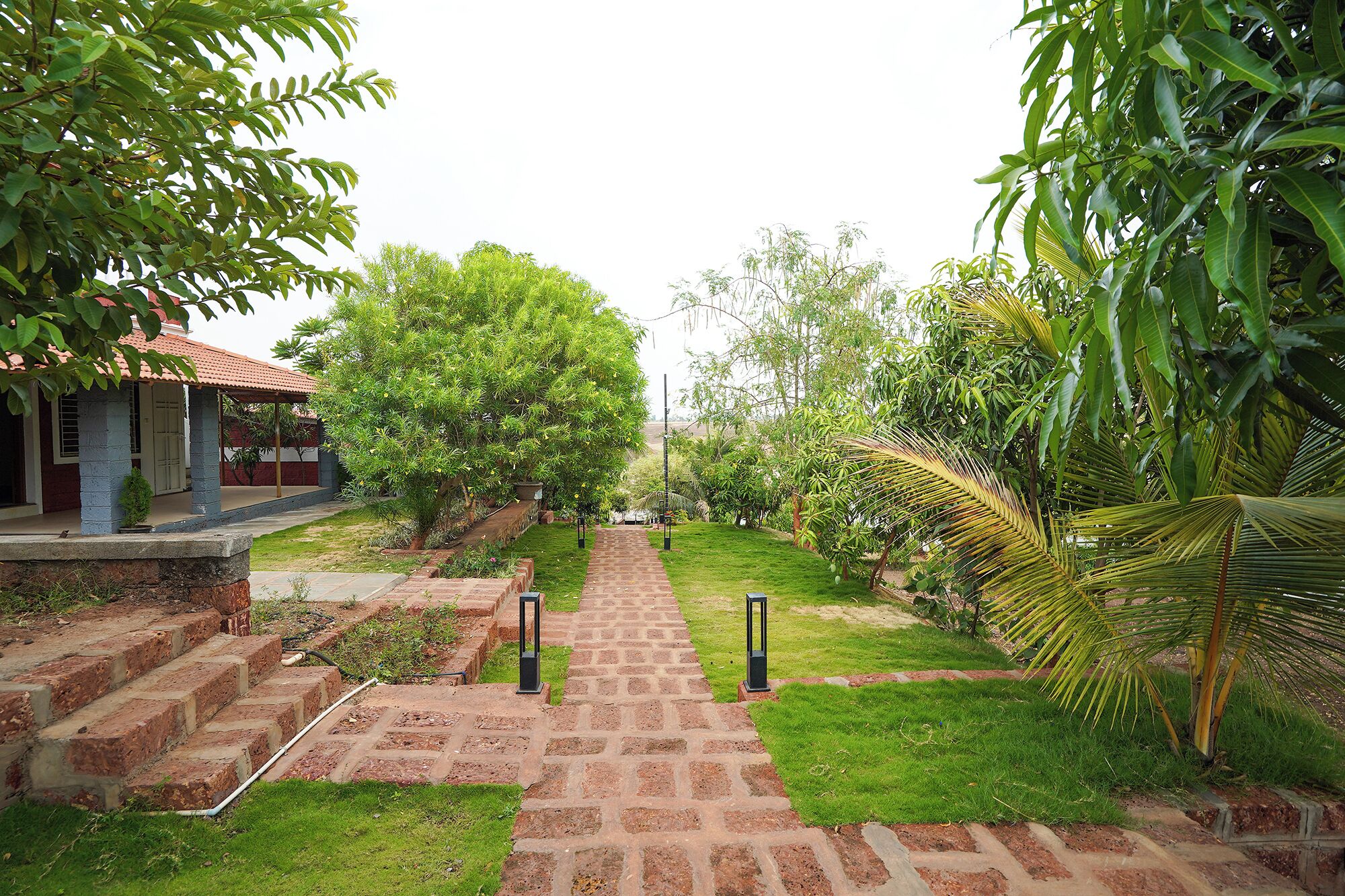 Jardín