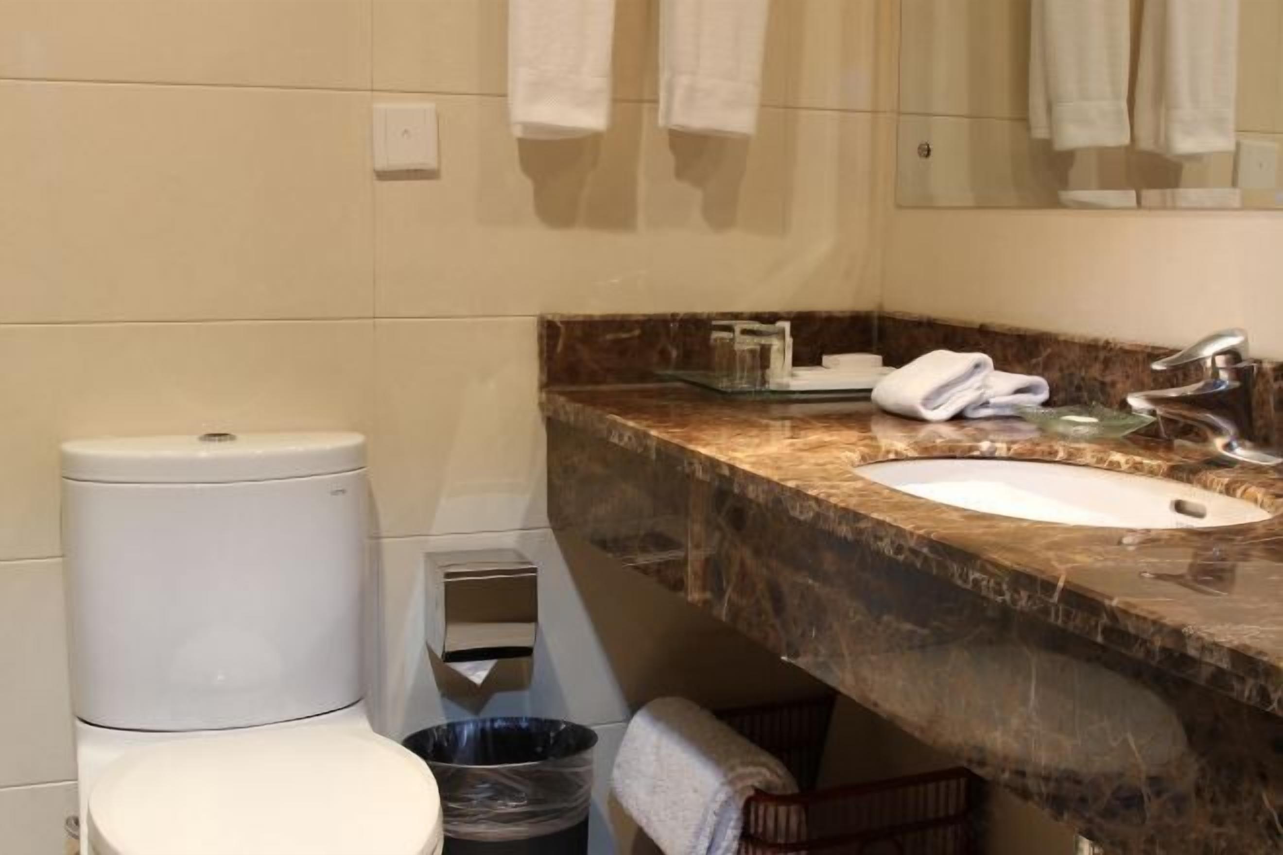 A bathroom with a toilet, sink, mirror, and towels.