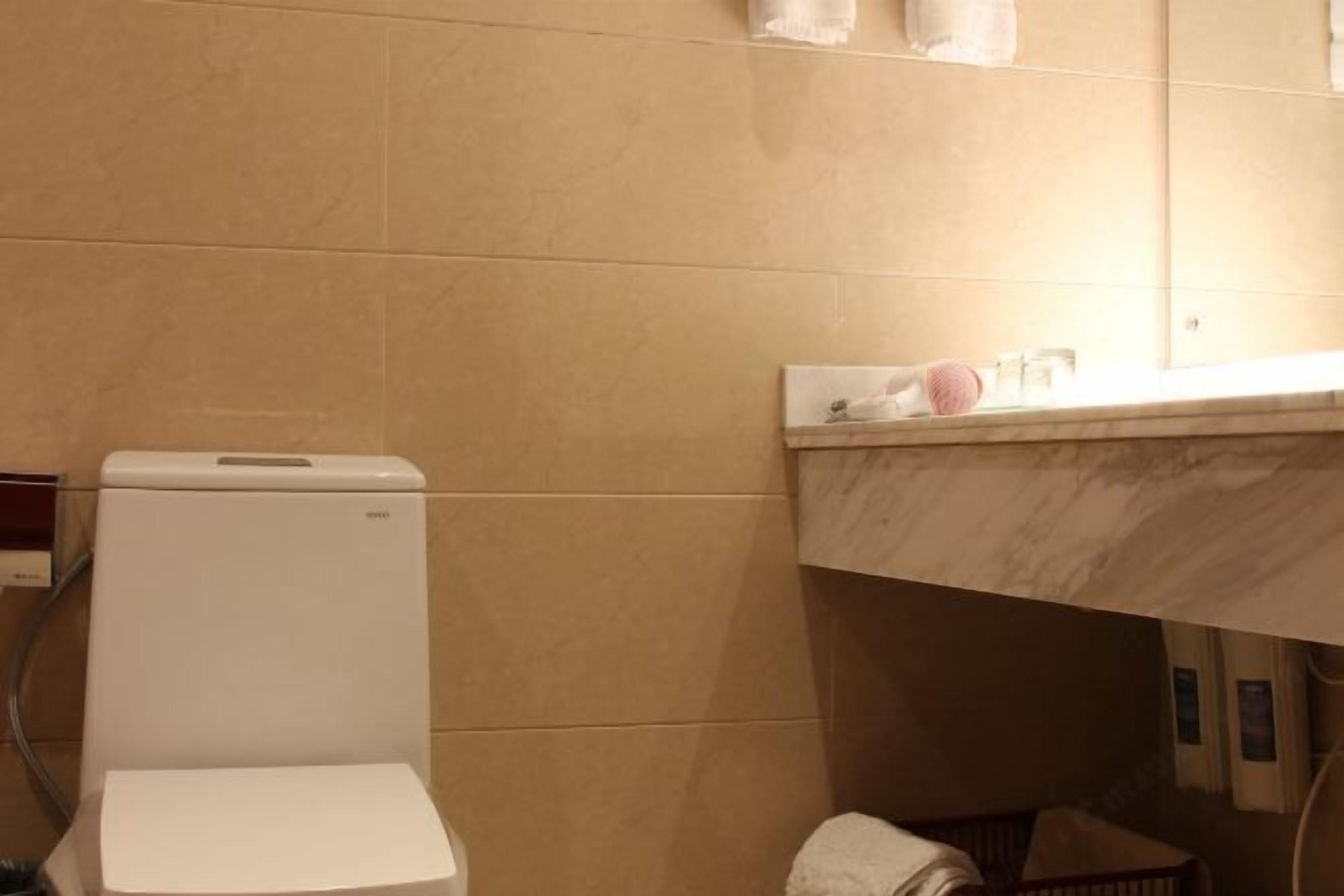 A bathroom with a toilet, a marble sink, and a towel rack.
