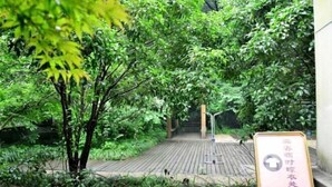Un sendero que atraviesa un exuberante jardín, con un cartel que indica un lugar específico.