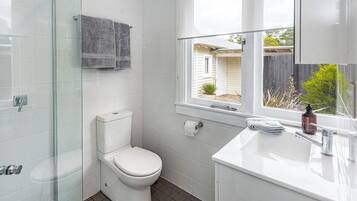 Shower, hair dryer, towels, soap