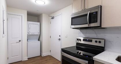 Entire Two Bedroom Apartment Steps to Universities