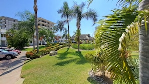 A well-maintained garden with palm trees, a clear sky, and a building with a thatched roof in the background. - House in private condominium with pool just steps from the beach in Bucerias (Bucerías)