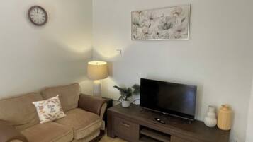 TV, books